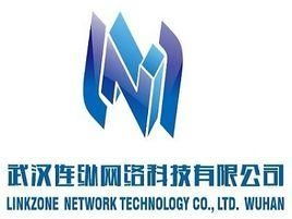 武漢連縱網(wǎng)絡(luò)科技 深耕技術(shù)，連接未來(lái)